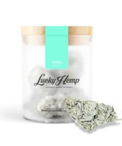 Snow Haze® 50% CBD Jar – 3g