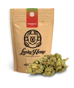 Strawberry Haze eco pack – 5g