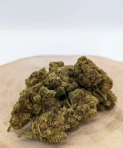 CBD Flower Starter Set