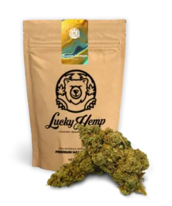 Super Lemon Haze eco pack – 5g